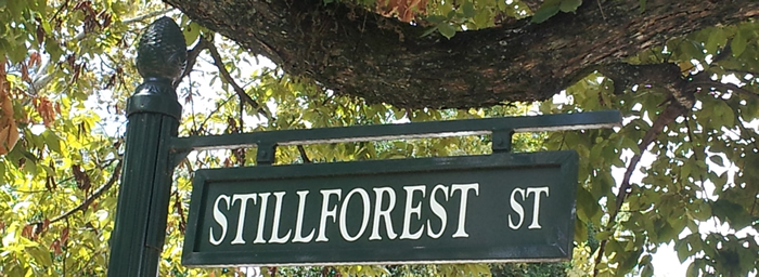 stillforest street sign700x256